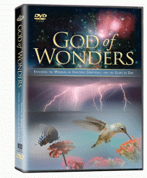 God of Wonders (video)